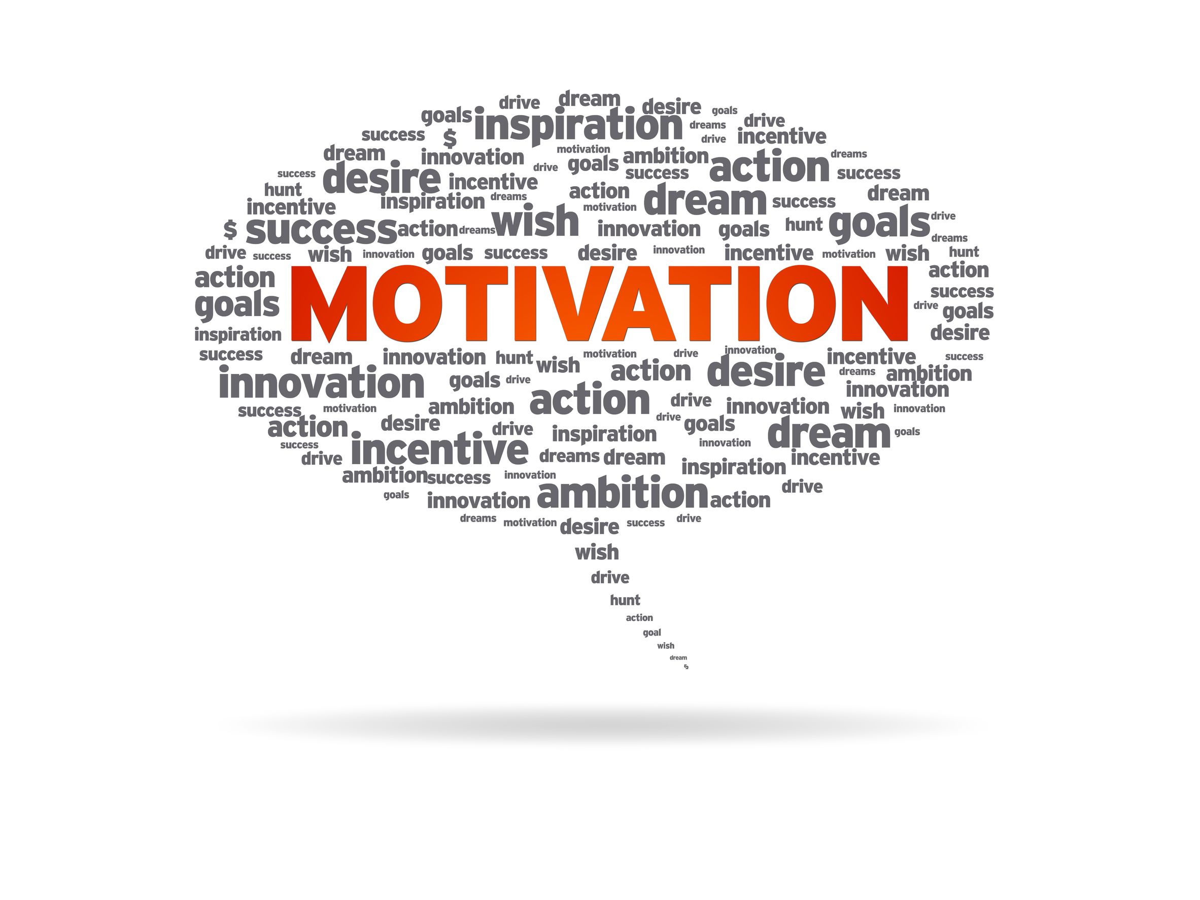 Track your progress