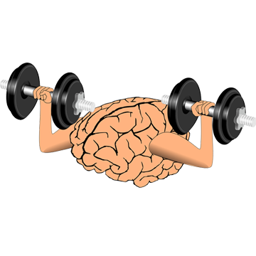 Memory and the brain